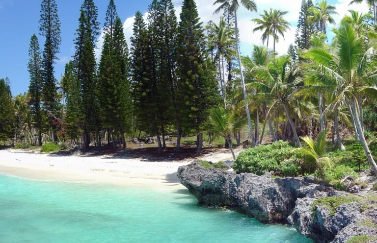Как выглядит новая каледония Hotel Nengone Village #newcaledonia Island, New caledonia, Village