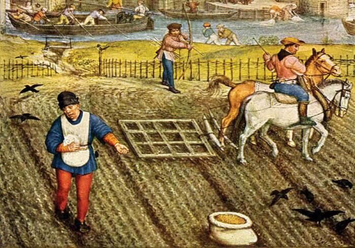 Сельскохозяйственные работы. https://yandex.ru/images