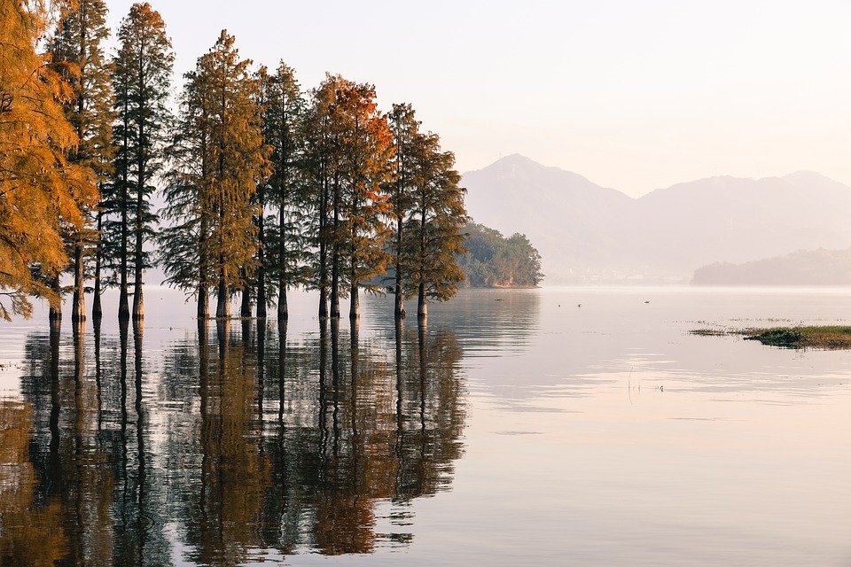 источник фото: pixabay.com