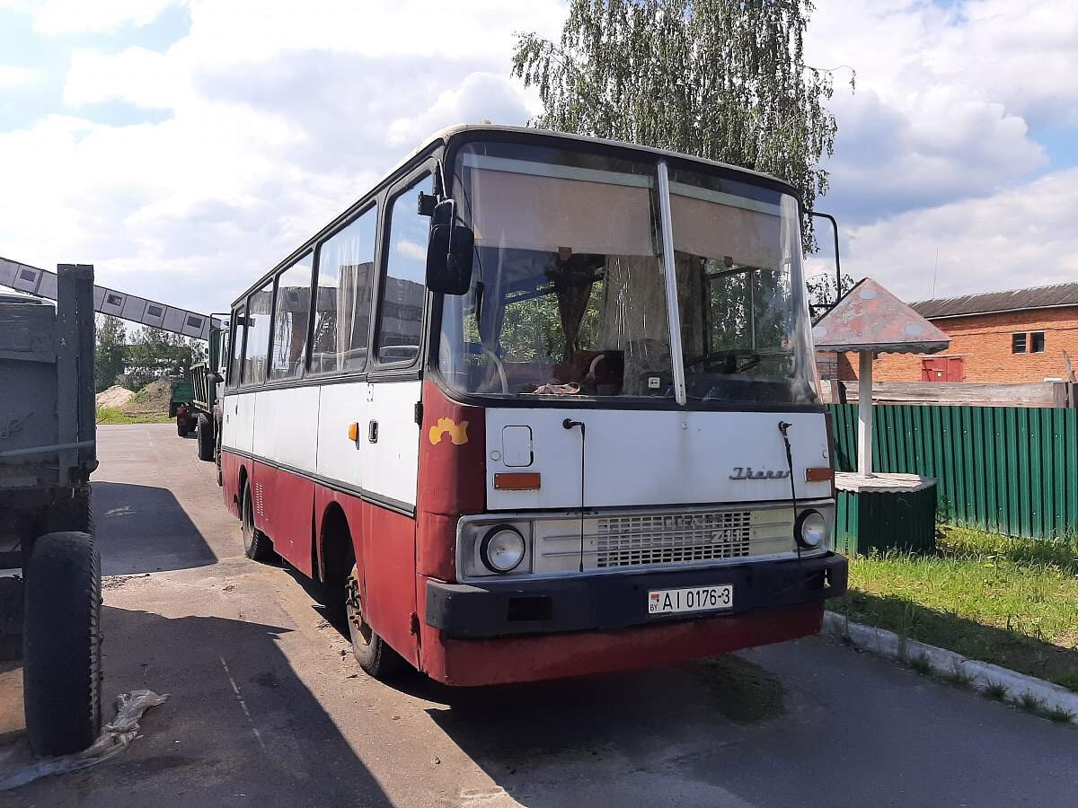 В Белоруссии за долги продают редкий автобус Ikarus 211 на шасси грузовика  IFA | Все о грузовиках – Trucksplanet | Дзен