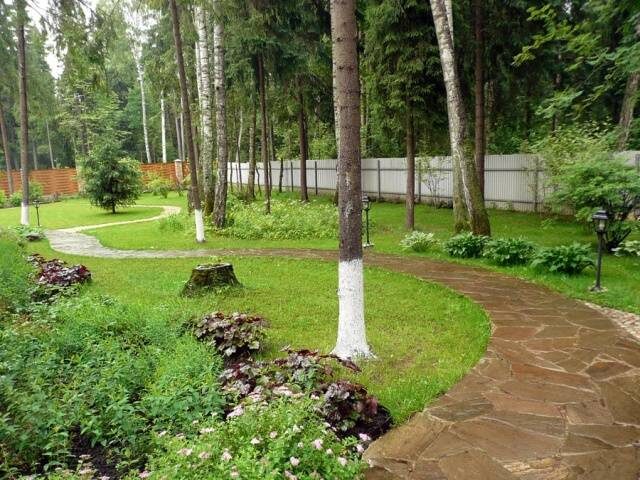Извилистые дорожки ведут в разные места сада(фото из интернета) .