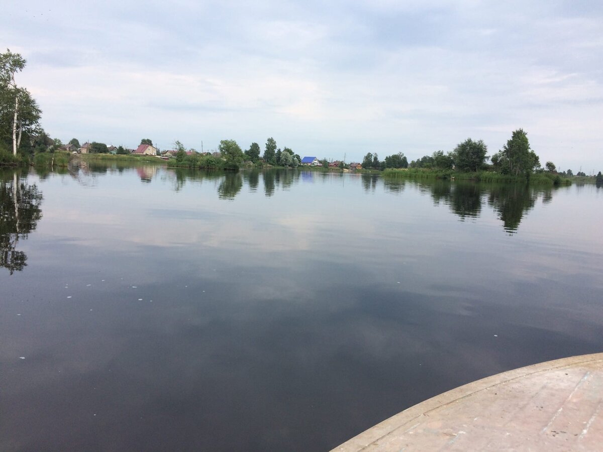 Речка в 20 метрах от дома.