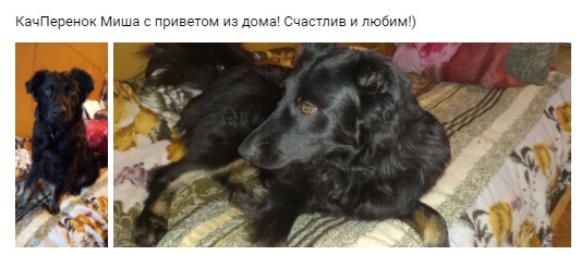 -1-2