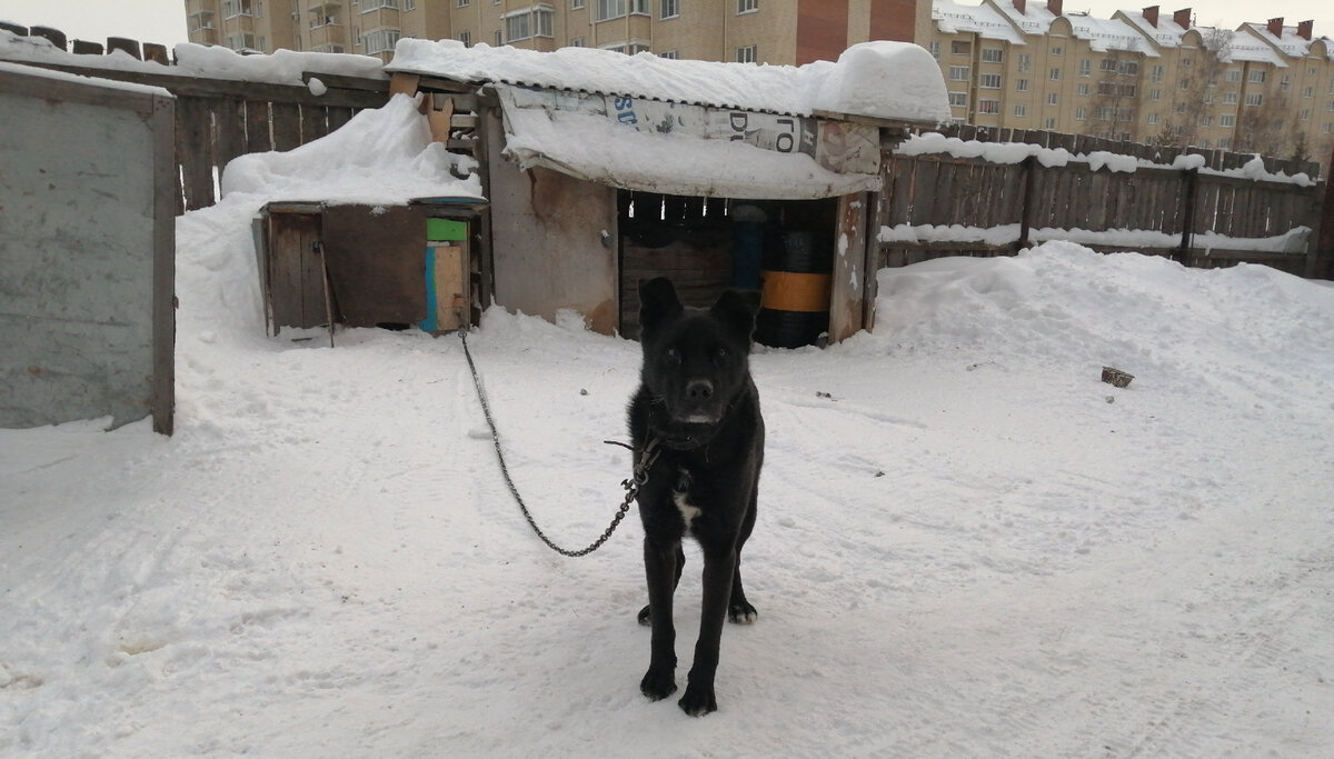 вот то самое "наследство"