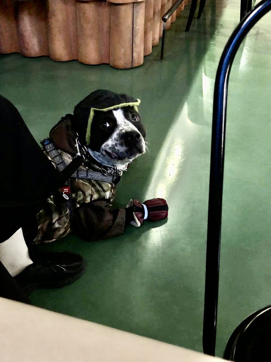 Фото из личного архива