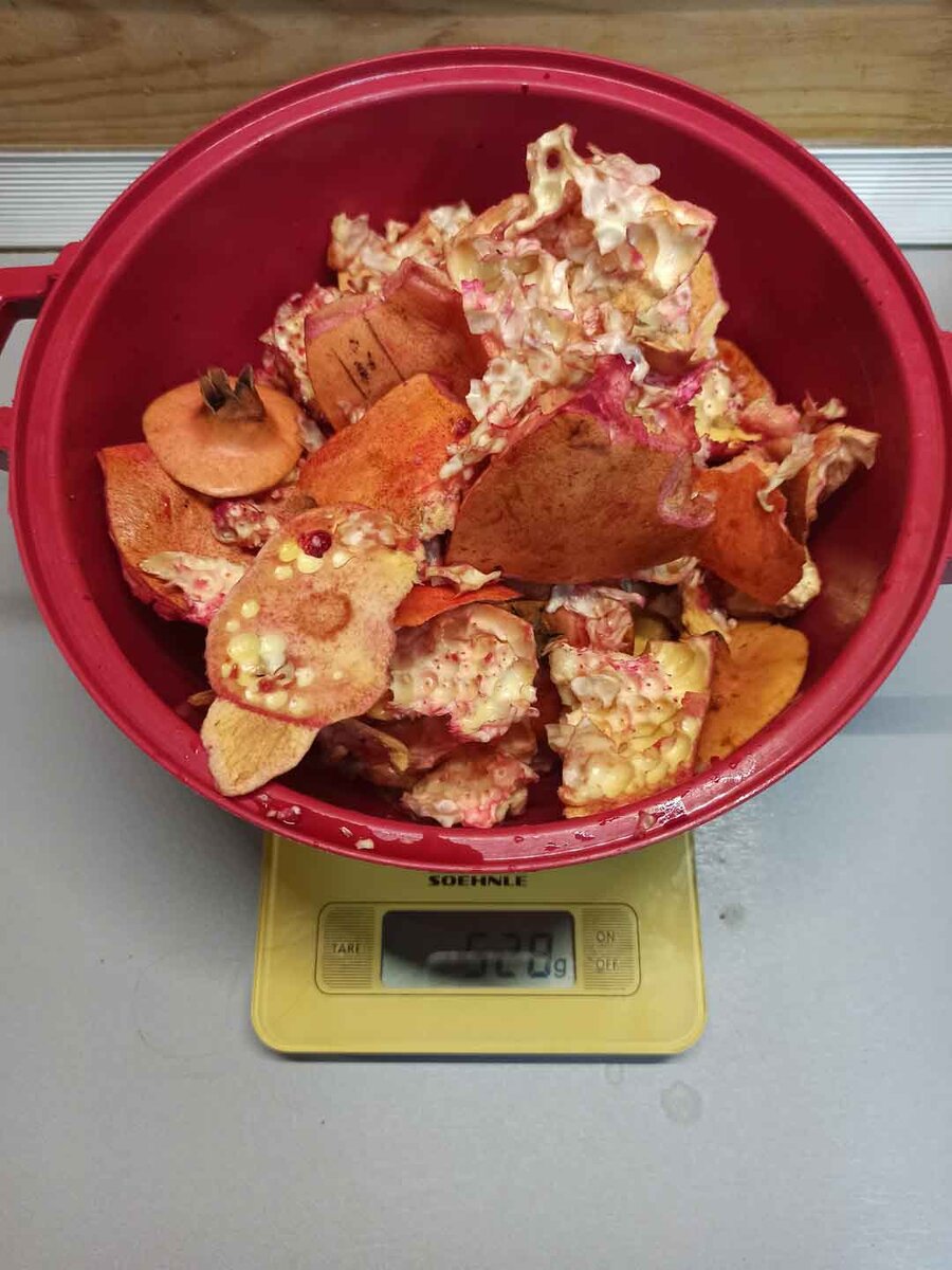 Шкура и перепонки с 4-х плодов граната. Фото автора ©