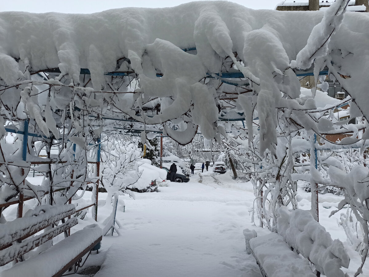 Погода в Славянске-на-Кубани в январе