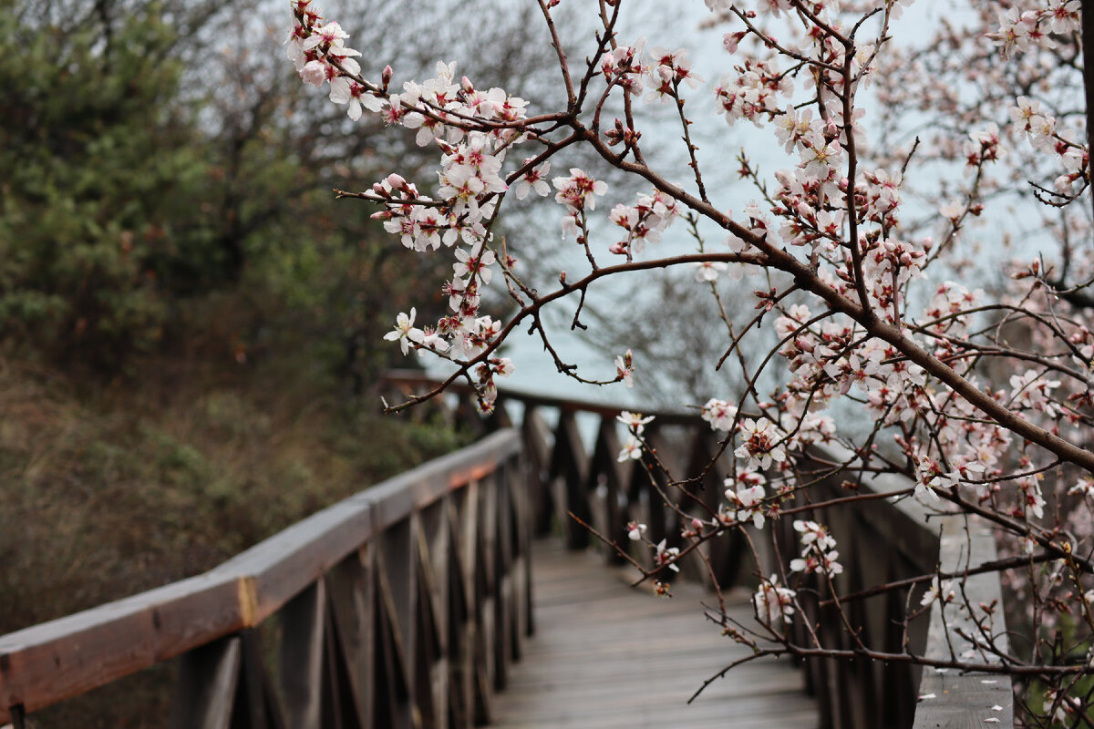 Видовая тропинка к пляжу 