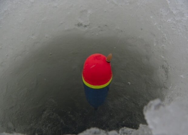 Фото с сайта: http://mesto-kleva.ru/uploads/images/00/17/79/2015/01/26/41b91d.jpg