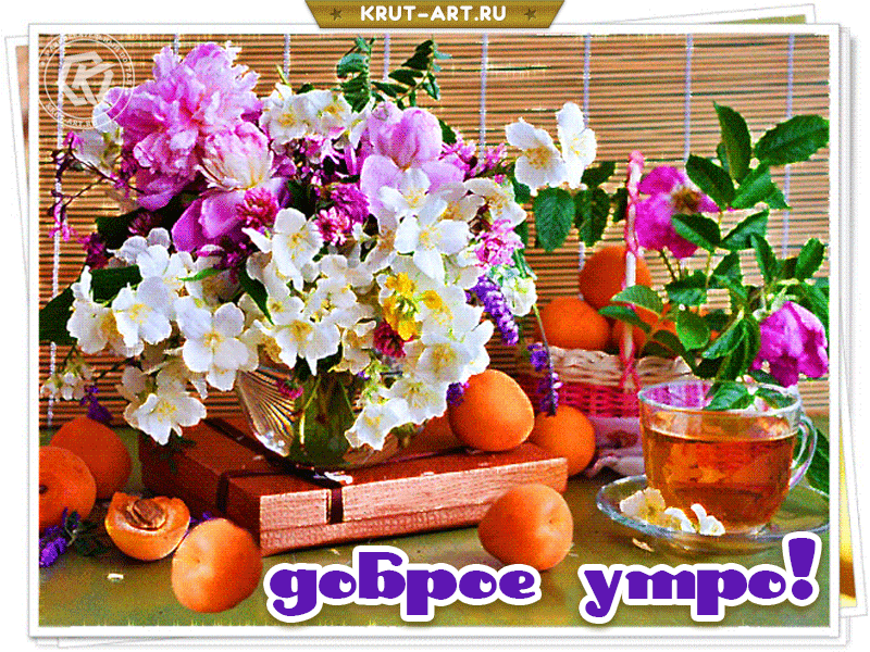 Открытка доброе утром на каждый день с цветами. Пусть настроение будет отличным весь день