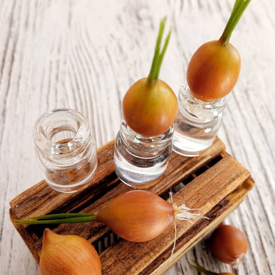 Лук. Для игр с детьми, для занятий с логопедом и просто развлечения. 