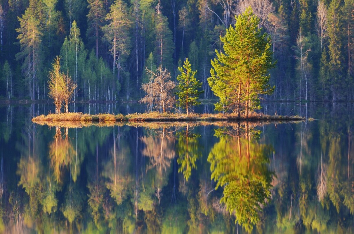 Таежное озеро в Карелии