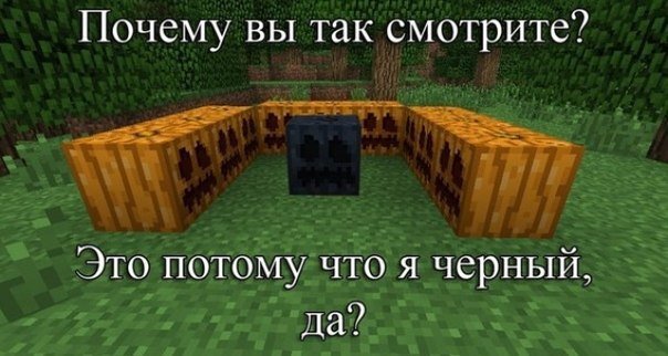 Вот что значит белая... а нет чёрная ворона