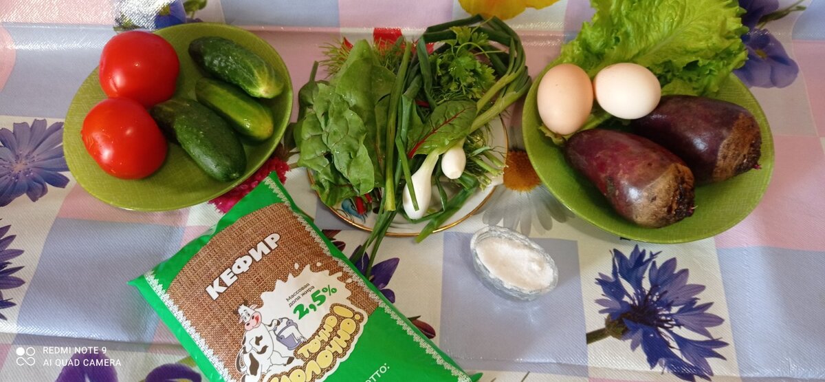 Для холодника нам потребуется: 2 свеклы, 2 помидора, 2-3 огурца, 2 яйца, 2 зубчика чеснока, зелень (зеленый лук, петрушка, мангольд, листовой салат, укроп), 1 л. кефира, соль.