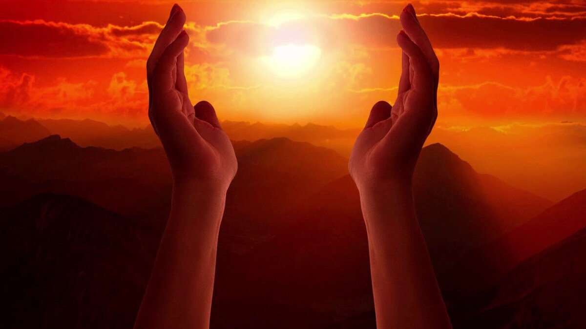 Фото из свободных источников