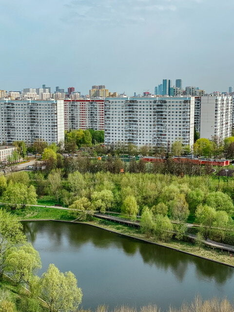 мой вид из окна перекрасился в восхитительно нежную палитру весенней зелени