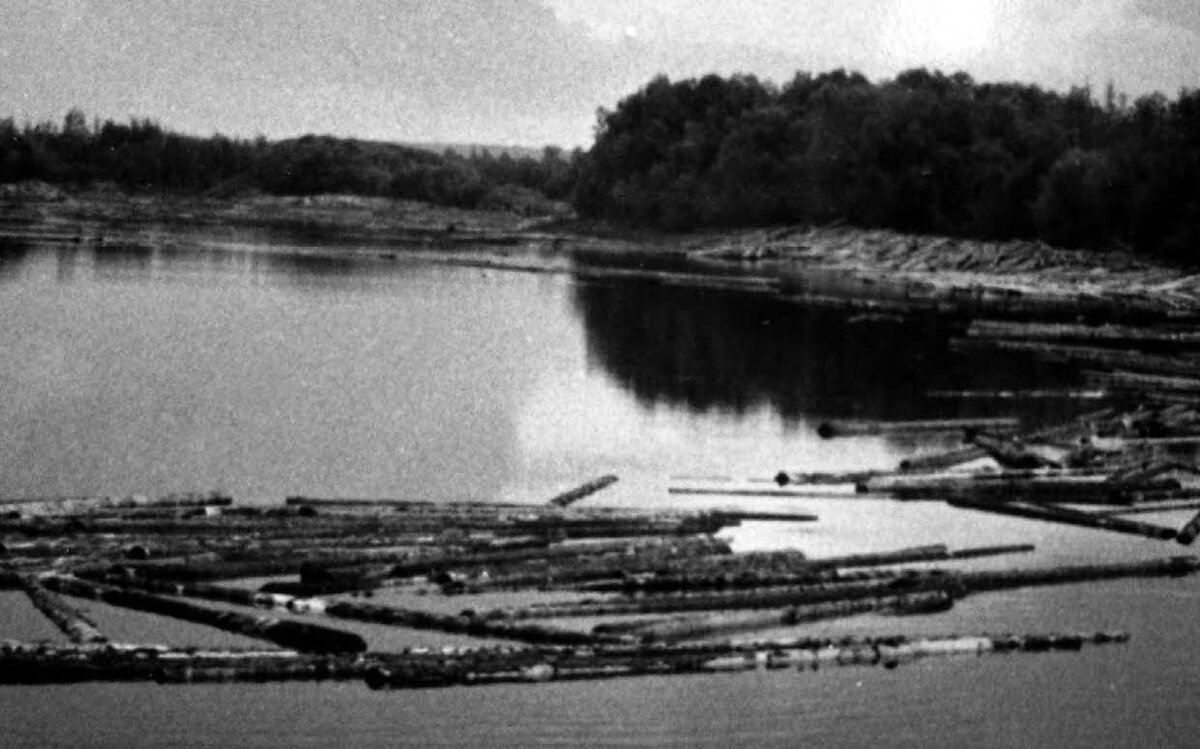 Сплав леса по реке Тулемайоки 1960 годы