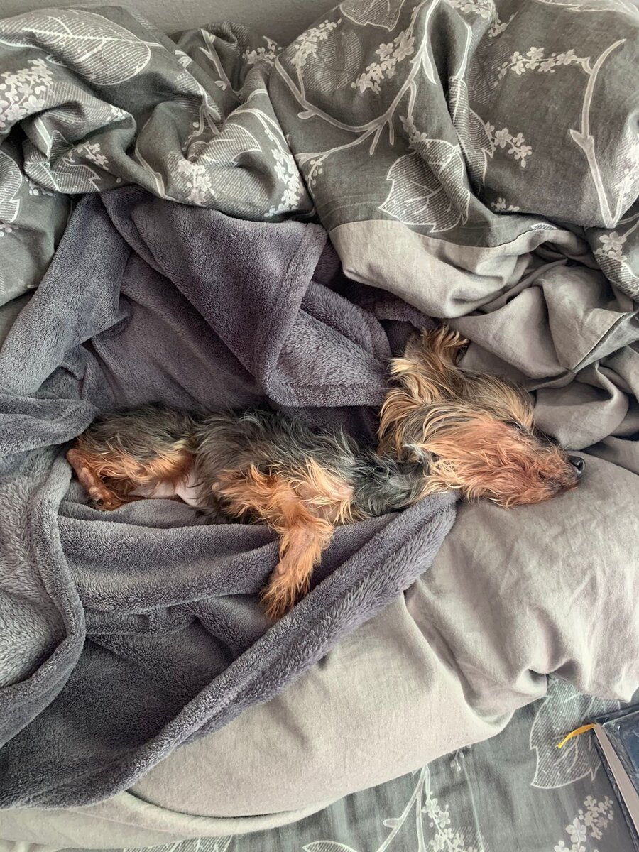 Первые дни после операции