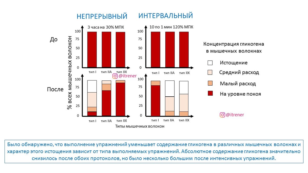 Рисунок 1. Изменение концентрации гликогена в различных мышечных волокнах после упражнения у двух групп.