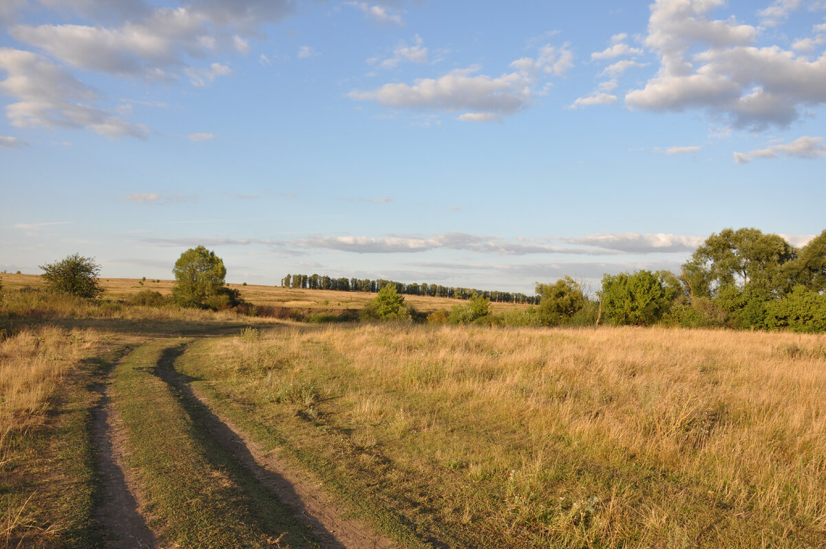 Фото из личного архива#россия #август #август2022 #гороскоп #предсказания #таро #Марина ковальская #новости #мистика   #политика #