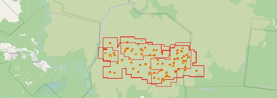     Термоточки лесных пожаров в Рязанской области. Скриншот с карты https://fires.ru/