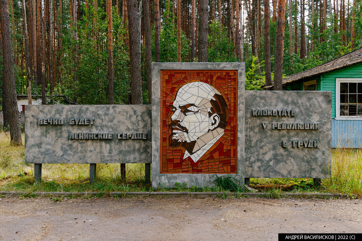 Логово вампиров в Тверской области: как выглядит заброшенный пионерлагерь,  где снимали сериал «Пищеблок»? | Путешествия и всего по чуть-чуть | Дзен