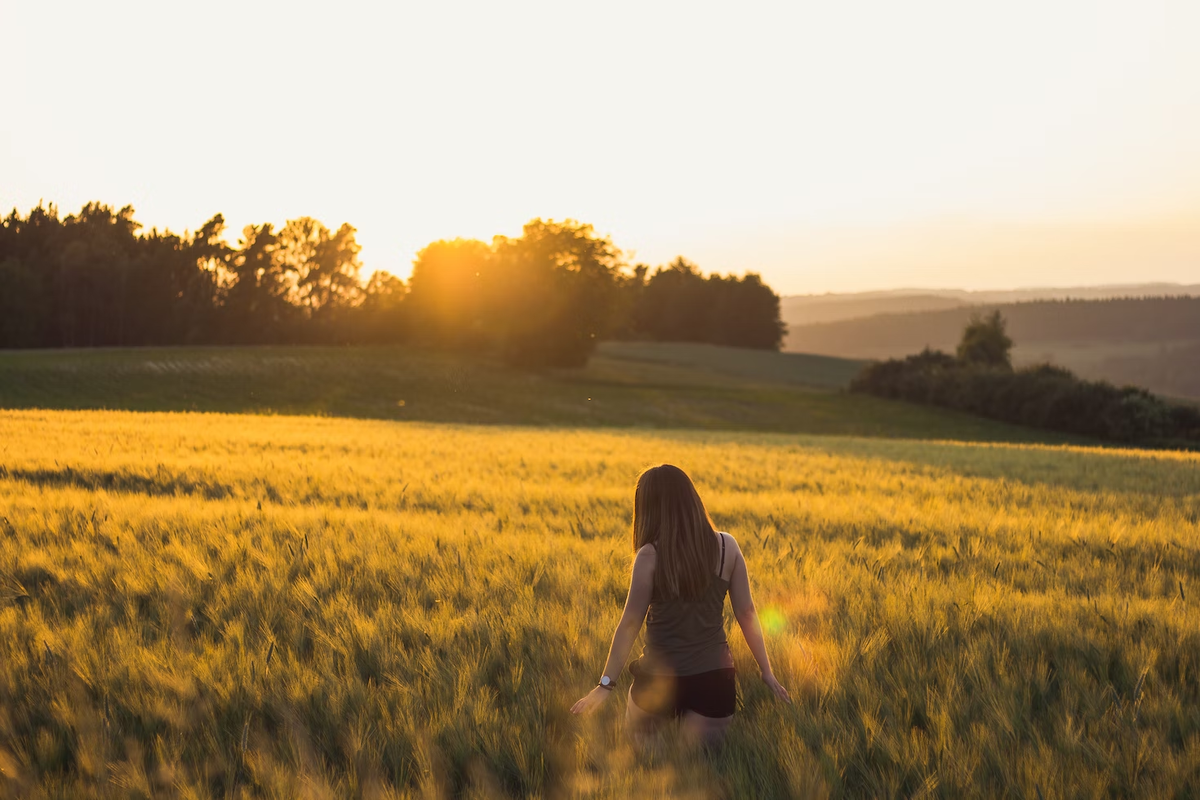 Фото Julian Hochgesang, unsplash.com