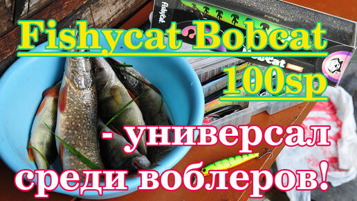 Fishycat Bobcat 100 sp - универсал по щуке среди воблеров!