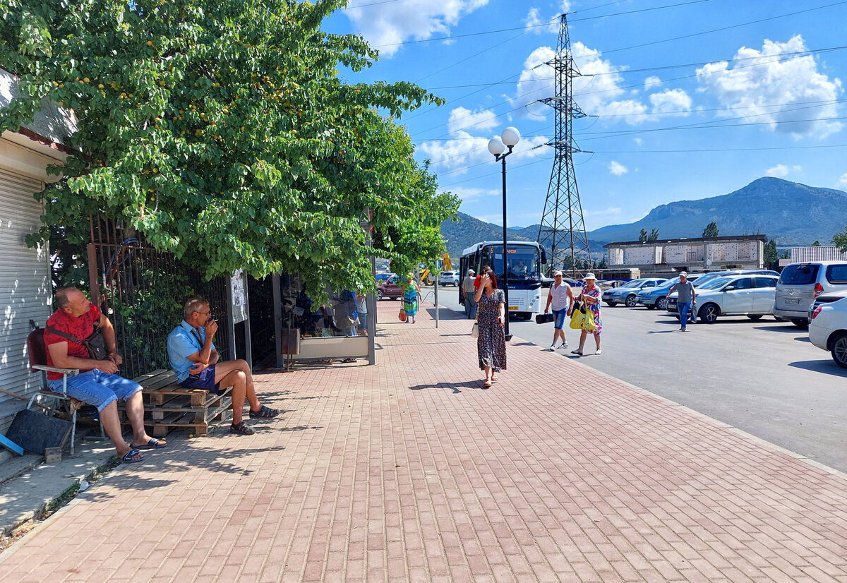 Как добраться из Судака в Алушту, Феодосию, Гурзуф, Ялту, Партенит,  Коктебель? | Di_travel | Дзен