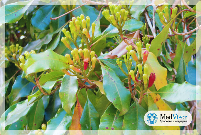 Designed by Prof. Chen Hualin/commons.wikimedia.org