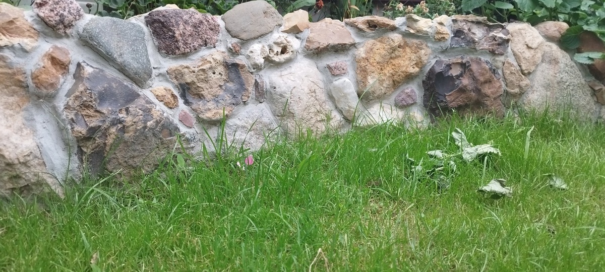 Фрагмент подпорной стенки цветника в зоне отдыха.