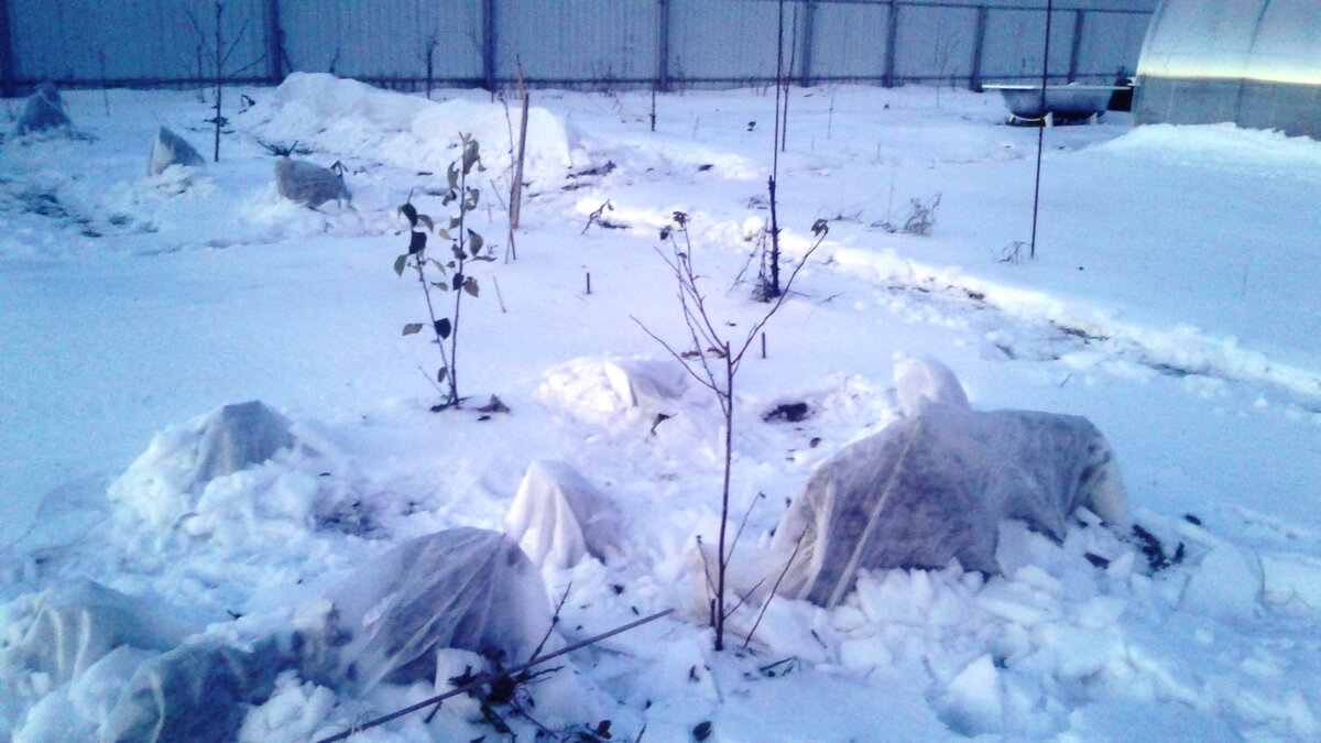 в начале зимы.