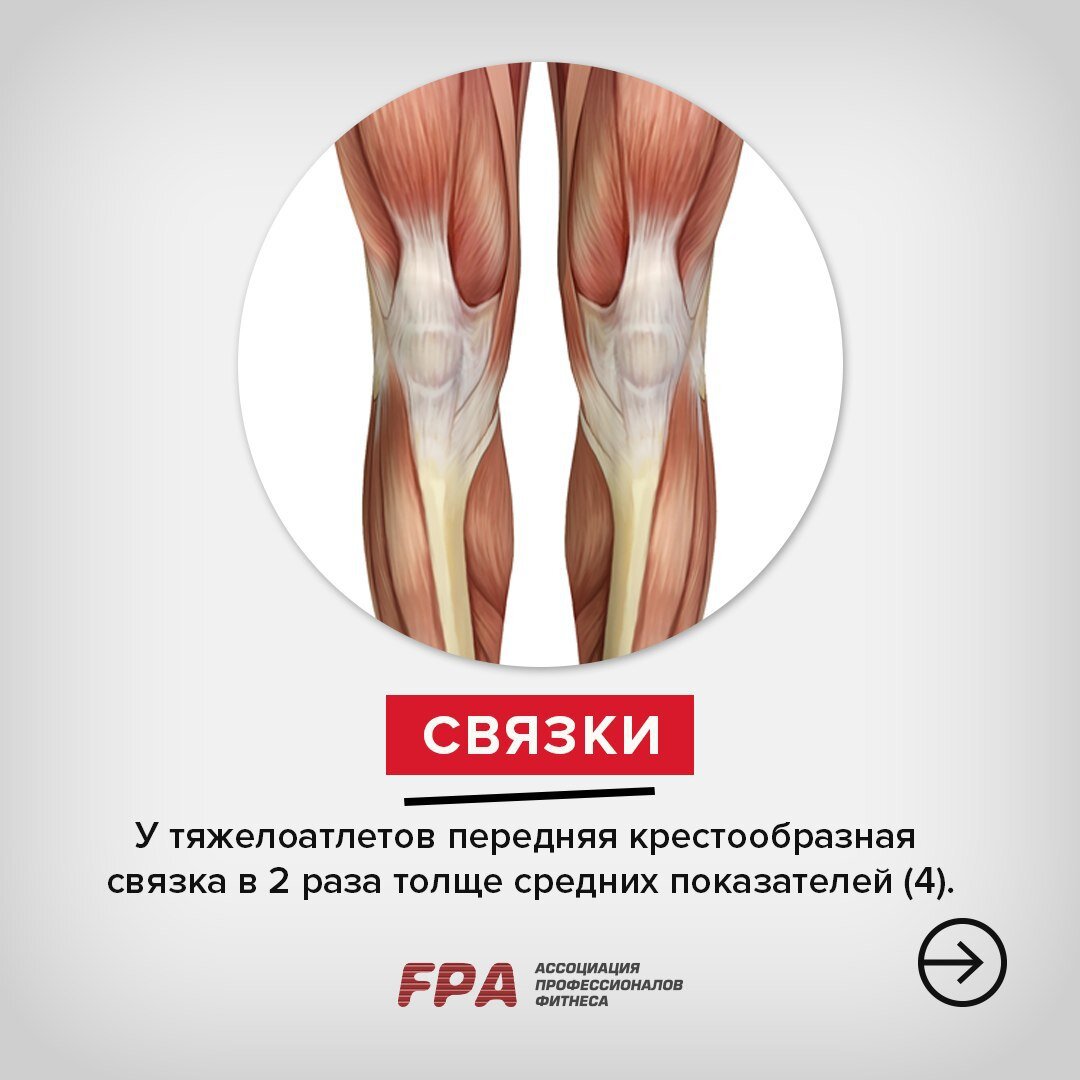 Ассоциация профессионалов фитнеса