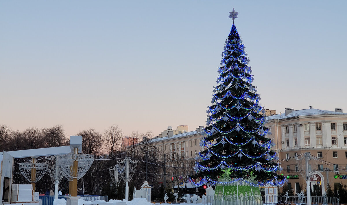 Площадь ленина воронеж на новый год