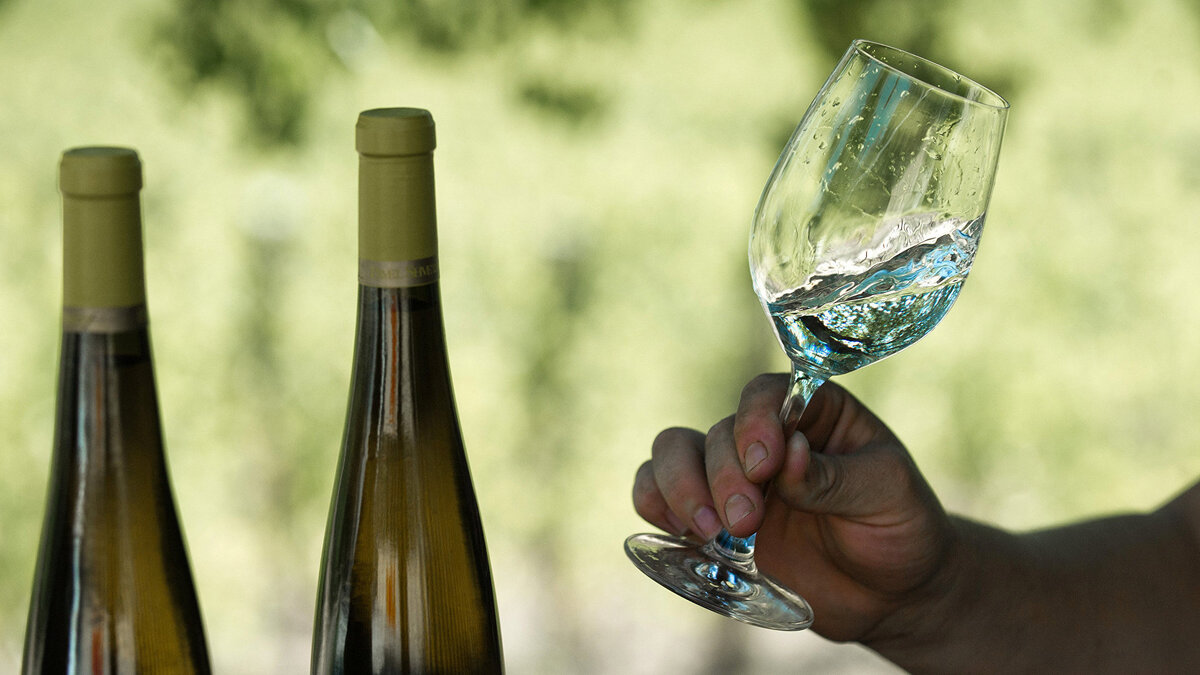    Винодельческое хозяйство "UPPA Winery" в Крыму© РИА Новости . Сергей Мальгавко