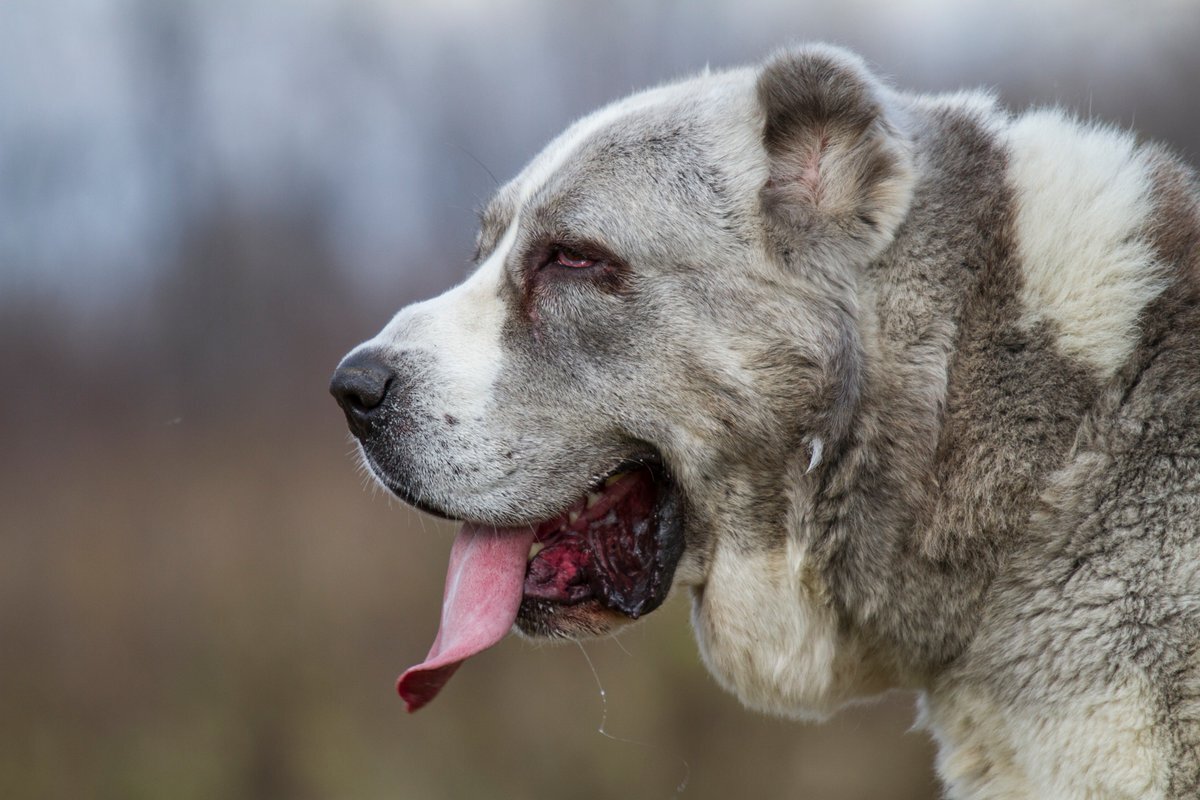 Фото из открытого доступа