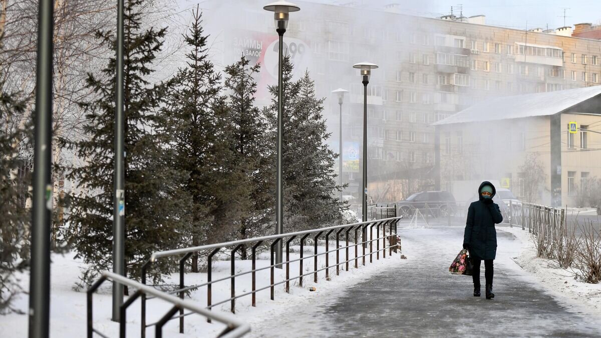    Женщина на улице Воинская в Новосибирске© РИА Новости / Александр Кряжев