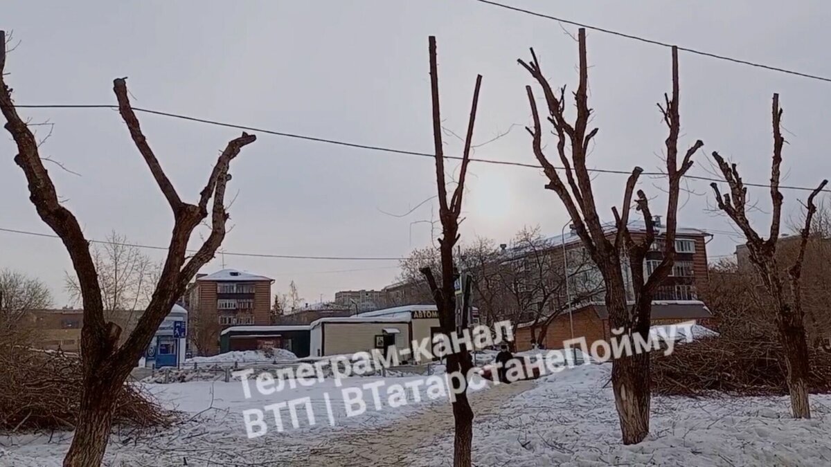     Жителей Казани возмущает внешний вид деревьев зимой после того, как их ветки обрезают. Автор снял видео на улице Восход и рассказал, что раньше зеленые насаждения были красивыми. Публикация появилась в одном из городских Telegram-каналов.