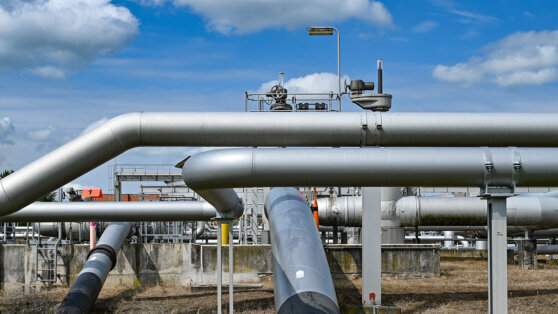    Казахстан отправит нефть Германии по "Дружбе" Татьяна Сидорова