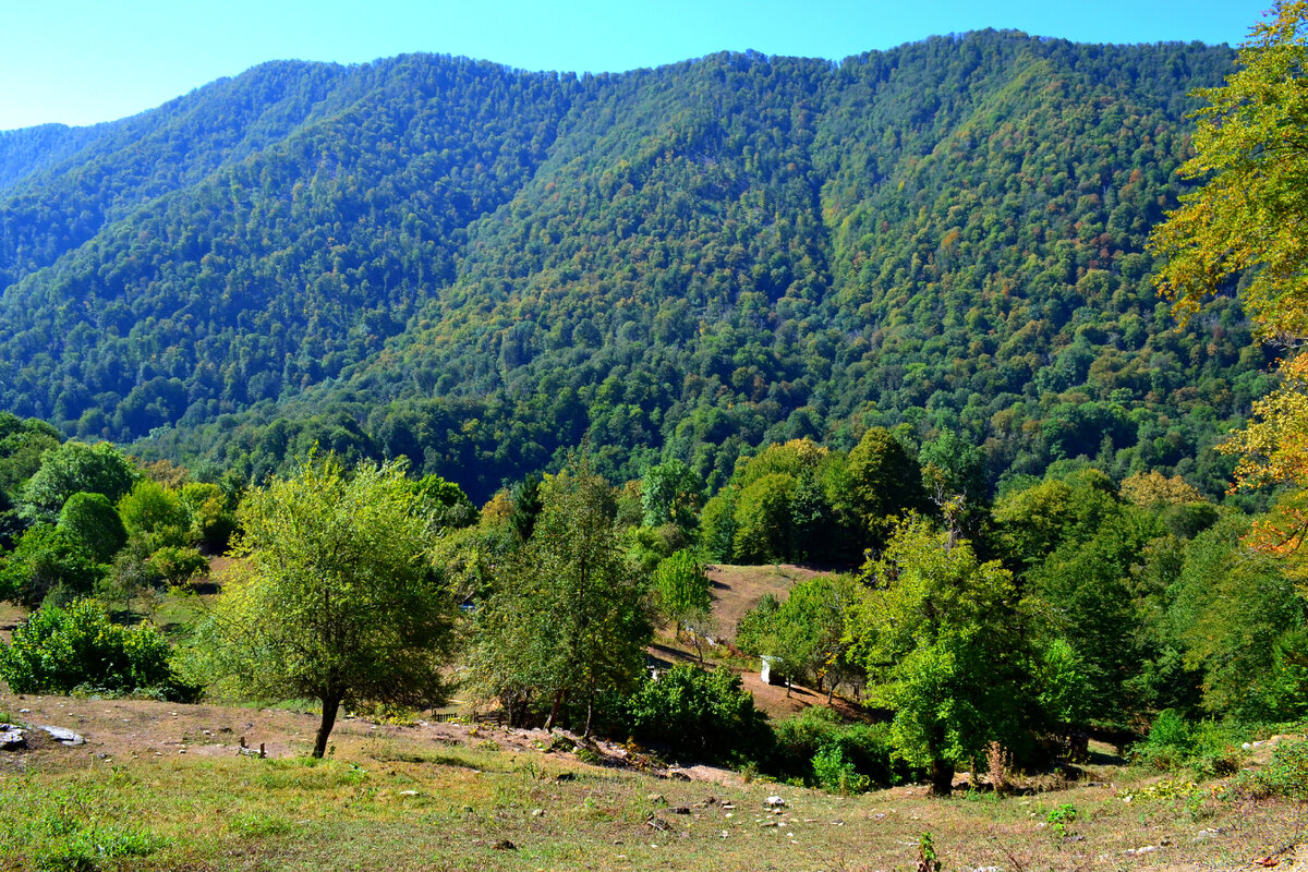 Виды на хребет Алек