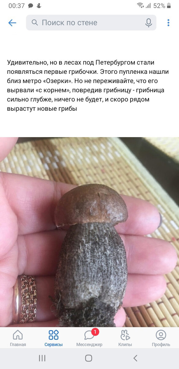 фото взято из интернета..