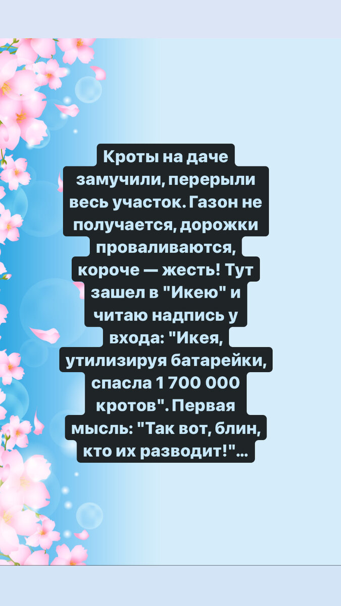 Многих улыбнёт)))