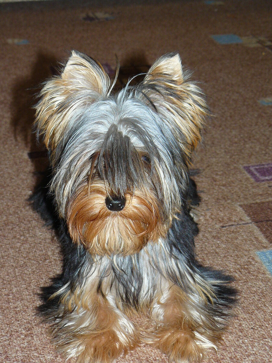 Фото автора