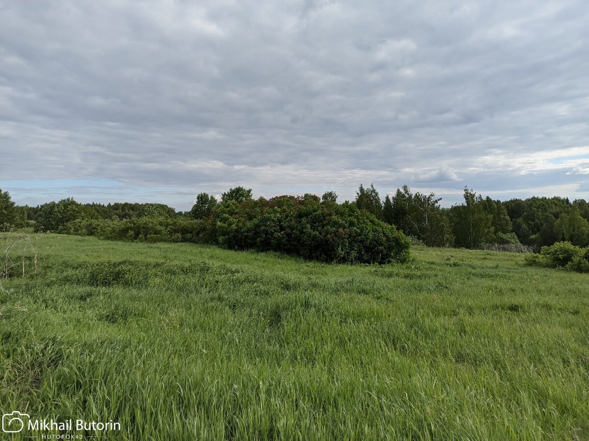 Куст говорит о том, что тут стоял дом.