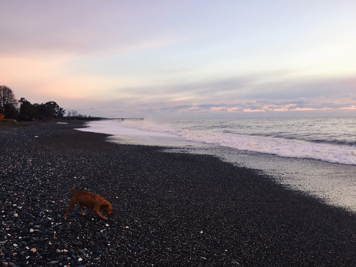Берег не облагорожен. Тот кто не любит собак - будет не просто, потому что тут их масса