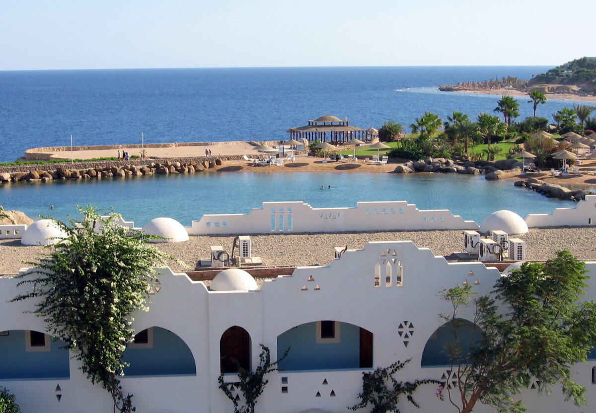 Вот такая красота. Фото автора