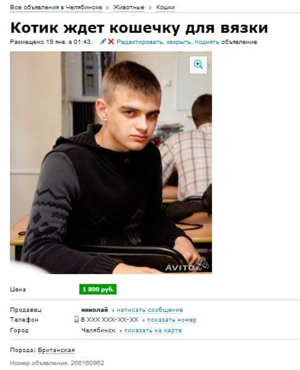 Объявления покажите пожалуйста. Смешные объявления. Прикольные объявления на авито. Avito смешные объявления. Авито приколы объявления.