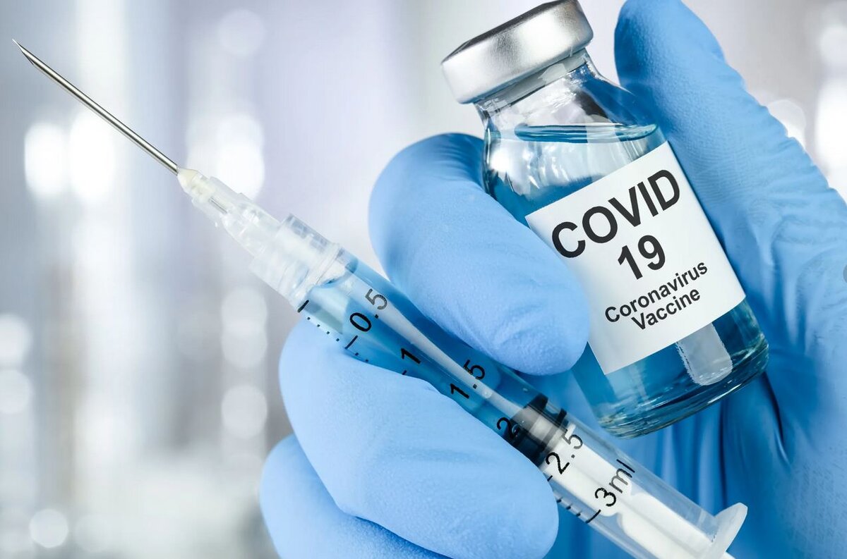 Фото из открытых источников Яндекс картинки