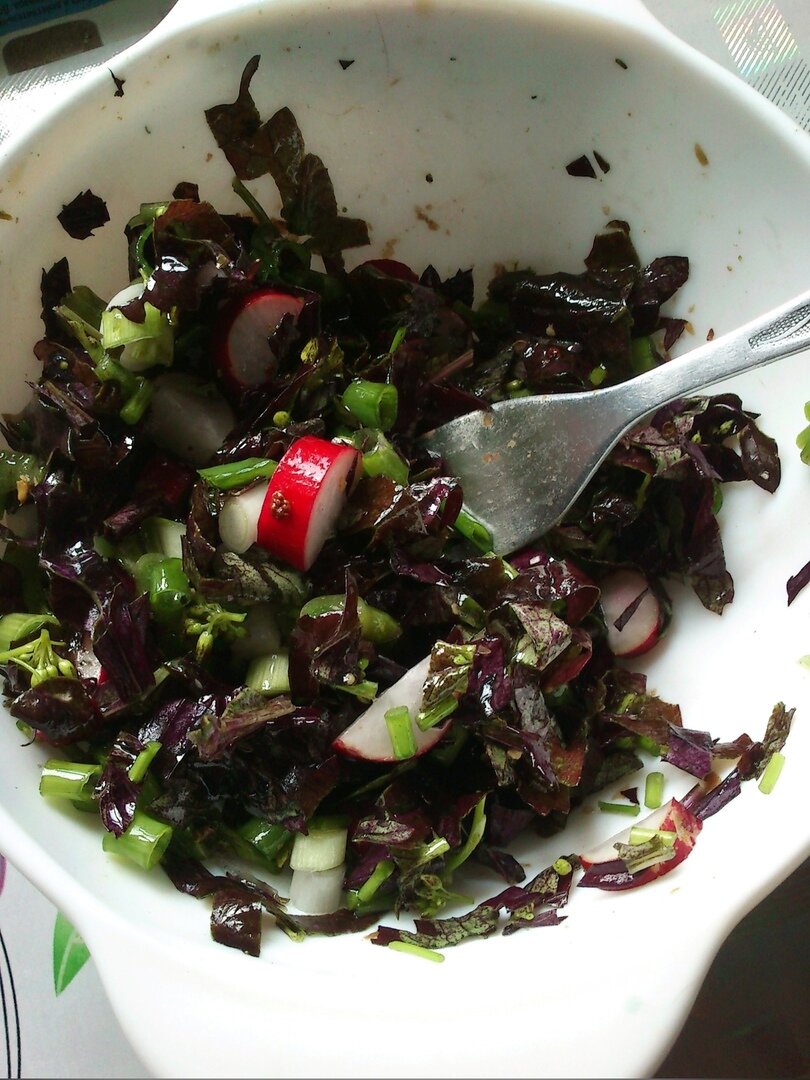 фото автора САЛАТИК: ЛУК, ГОРЧИЦА , РЕДИС, РАСТ, МАСЛО