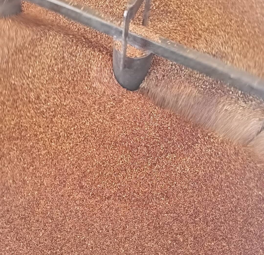 Процесс обжарки семян льна.